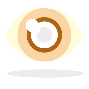 vision